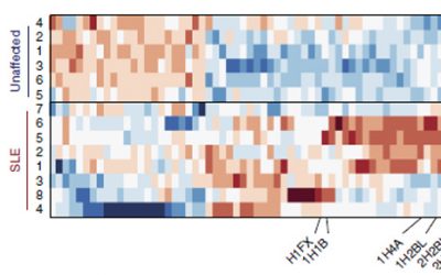 Cellular Trash Cans Reveal the Roles of Proteins in Disease