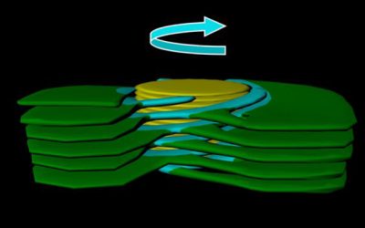 Five papers in one week published in the Proceedings of the National Academy of Sciences highlight Weizmann Institute research